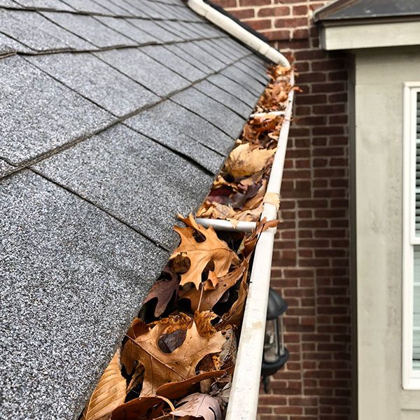Gutter Cleaning